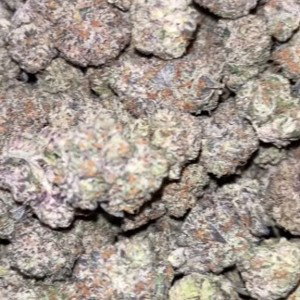 GoodGreen"Gravy"