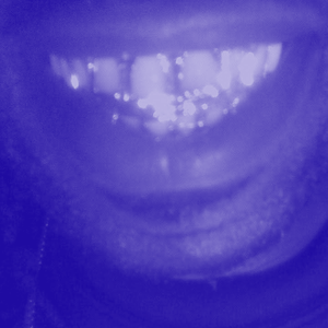 DATS Gangsta  (Slowed + Reverb)