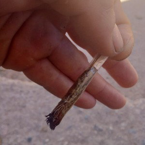 pa la gente