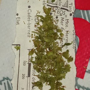 free 4