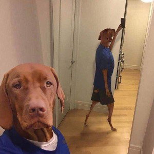 snoop d o double g 