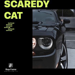 SCAREDY CAT 