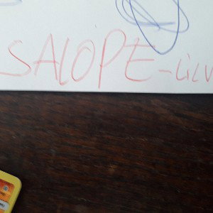 SALOPE