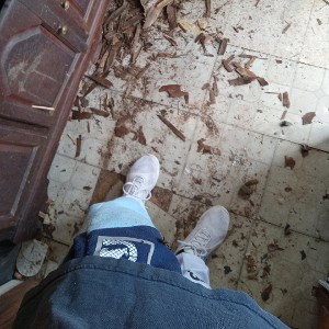 I woke up in the morning 