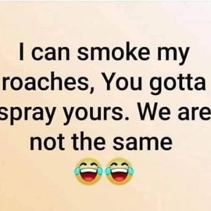 it is what it is 