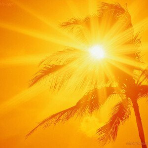 sunshine
