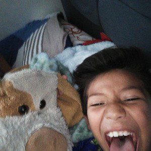 El pipí peruano de perros