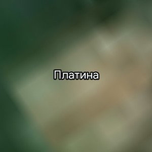 ПЛАТИНА 