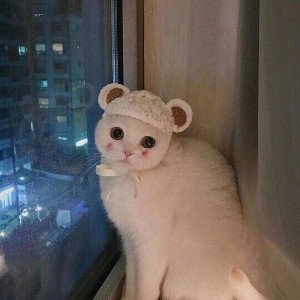 водлый