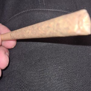 zoot or boot 