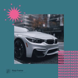 niggas fakes 