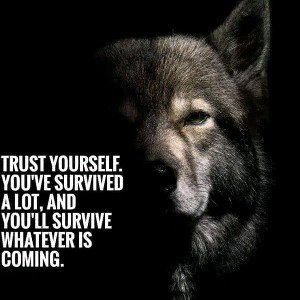 I put my life on standby