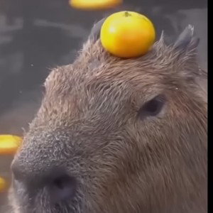 When I was free, I drank, P