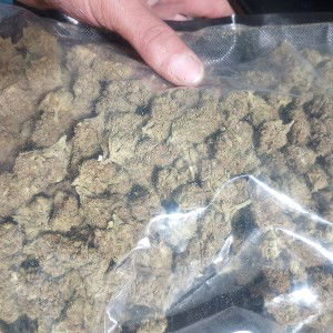 HITTIN LICKS OR SUM