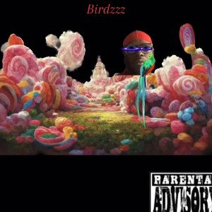 BIRDZZz