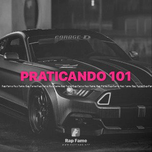 PRATICANDO 101