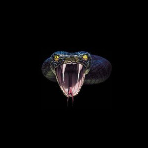 MC9KILLA-I'M A COBRA