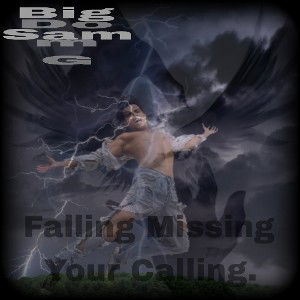 Falling Missed Your Calling.