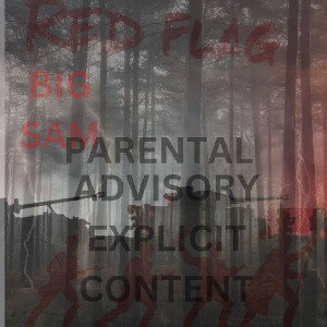 Red_Flag_Here_We_Go_