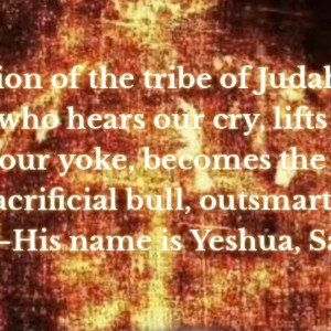 Jesus christ is God and the world call him a enemy