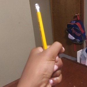 pen