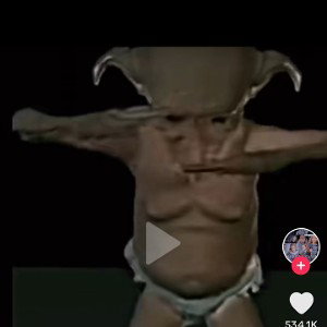 the indan doby rip