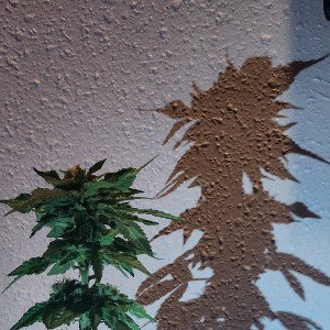Thekid 10_24 - Cra$hbandicoot 