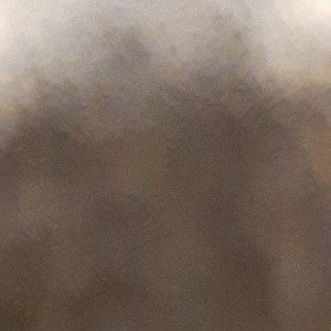 Opcion ( IV )