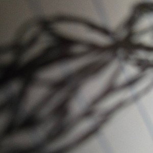 false memorias 