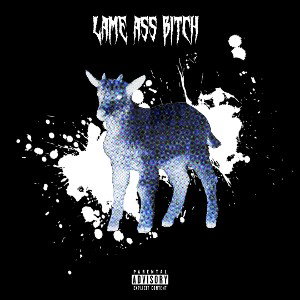 LAME ASS BITCH 