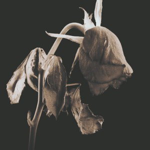 Amour Tétanisé (Instrumental Version) 