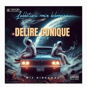  DELIRE CONIQUE 