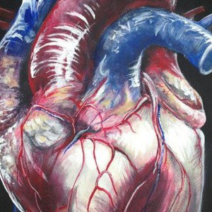 I got my heart on my sleeve Kakartier 