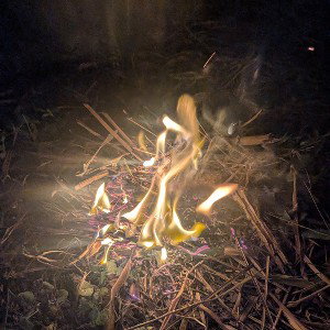 Fire- Literally Lit