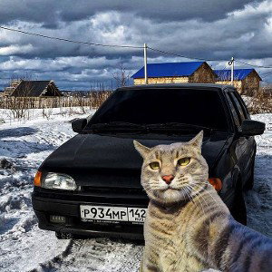 Не думать