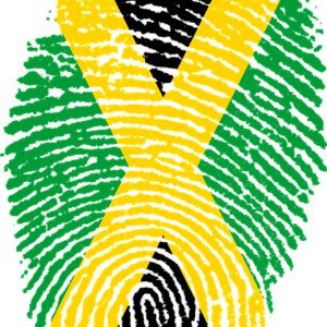 Pregunta por Jamaica by Rengiflow 