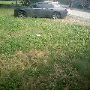 Dodge charger b****