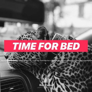 Time for Bed 🛏 