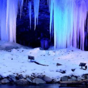 🥶Icicle🥶