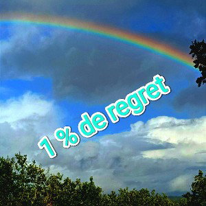 1 % de regret