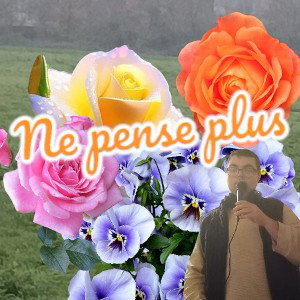 ne pense plus