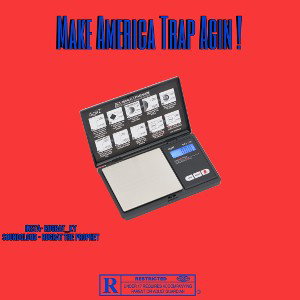 Make America Trap Again 