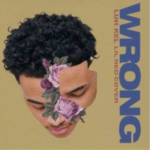 You Did Me Wrong (It’s Over 💔)- Lil Red