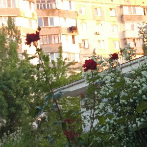 Я тільки начяла учіть бит і всякі штучки того не судить мене