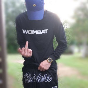 vandalfrmtha43.mp3