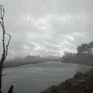chase / fristil (09:37:22)