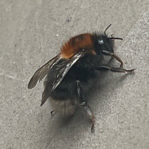  (18:02:47)  fristil 