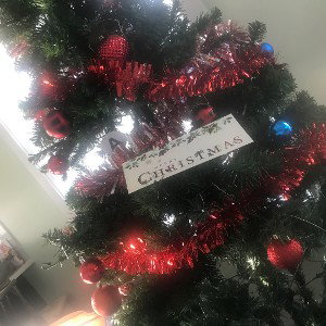 celebrate Christmas with family 