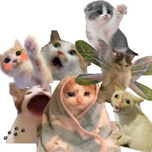 на веселе