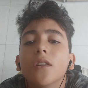 zambi